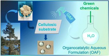 Graphical abstract: Organocatalytic aqueous formulations: green organocatalytic hydrophobization of heterogeneous polysaccharide-based materials in water through “on-water” mechanisms