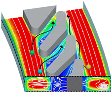 Graphical abstract: A self-cleaning micro-fluidic chip biospired by the filtering system of manta rays