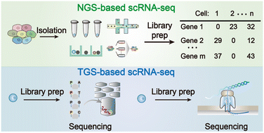 Graphical abstract: Advanced sequencing-based high-throughput and long-read single-cell transcriptome analysis
