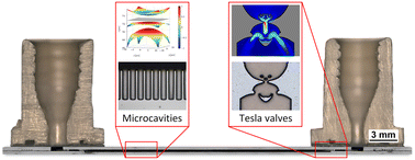 Graphical abstract: Chip-integrated non-mechanical microfluidic pump driven by electrowetting on dielectrics