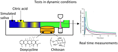 Graphical abstract: A novel microfluidic tool for the evaluation of local drug delivery systems in simulated in vivo conditions