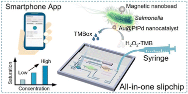 Graphical abstract: An all-in-one microfluidic SlipChip for power-free and rapid biosensing of pathogenic bacteria