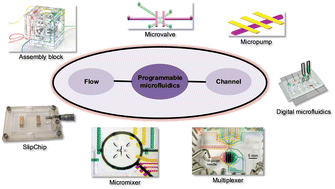 Graphical abstract: Microfluidic programmable strategies for channels and flow