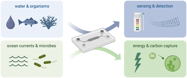 Graphical abstract: Microfluidics for macrofluidics: addressing marine-ecosystem challenges in an era of climate change