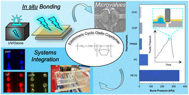 Graphical abstract: Novel thermoplastic microvalves based on an elastomeric cyclic olefin copolymer