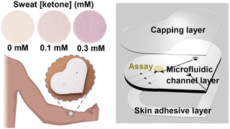 Graphical abstract: Skin-interfaced microfluidic biosensors for colorimetric measurements of the concentrations of ketones in sweat