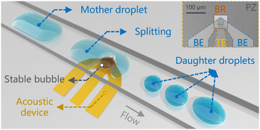 Graphical abstract: Generation, control, and application of stable bubbles in a hypersonic acoustic system