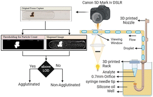 Graphical abstract: Automated Dynamic Inlet Microfluidics (ADIM) system: cost-effective biaxial nanoliter droplet on demand generation platform and its application in agglutination assays