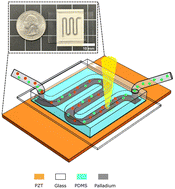Graphical abstract: Large-scale acoustic single cell trapping and selective releasing
