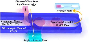 Graphical abstract: Study on the size and spatial configuration of liquid metal droplets in conductive hydrogels induced by surface acoustic waves