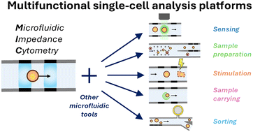 Graphical abstract: Integrating impedance cytometry with other microfluidic tools towards multifunctional single-cell analysis platforms