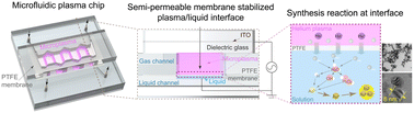 Graphical abstract: Semi-permeable membrane stabilized microfluidic plasma chip for continuous, tunable synthesis of sub-10 nm nanoparticles