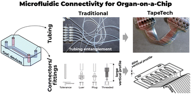 Graphical abstract: TapeTech microfluidic connectors: adhesive tape-enabled solution for organ-on-a-chip system integration