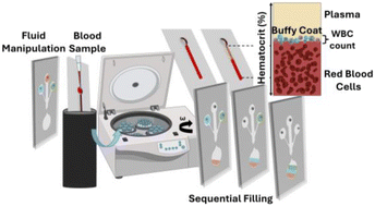Graphical abstract: Dynamic fluidic manipulation in microfluidic chips with dead-end channels through spinning: the Spinochip technology for hematocrit measurement, white blood cell counting and plasma separation