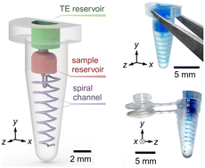 Graphical abstract: A three-dimensional microfluidic device embedded within a thermal cycler tube for electrokinetic DNA extraction