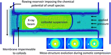Graphical abstract: Microfluidic osmotic compression with operando meso-structure characterization using SAXS