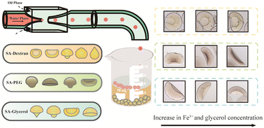 Graphical abstract: Droplet microfluidics-assisted fabrication of Fe-alginate microgels with complex morphology: effect of the composition of droplets