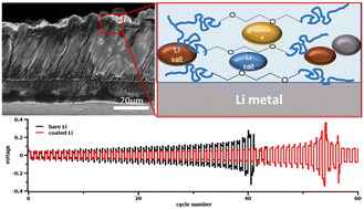 Graphical abstract: Ex situ poly-DOL coatings for lithium metal protection