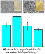 Graphical abstract: Surface characteristics of thin film composite polyamide membranes dictate silver nanoparticle loading efficacy