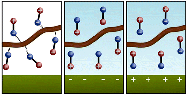 Graphical abstract: N and P-type zwitterion gated organic field effect transistors