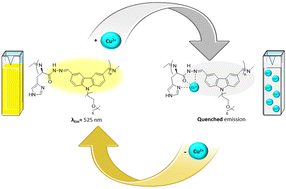 Graphical abstract: Fluorescent histidine-derived biodynamers as biocompatible and highly water-soluble copper(ii)-sensors