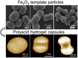 Graphical abstract: Synthesis and pH-responsive properties of bacteria mimicking hydrogel capsules