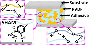 Graphical abstract: Salicylhydroxamic acid containing structural adhesive