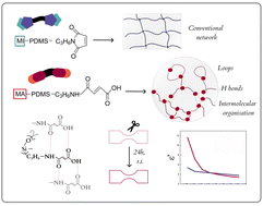 Graphical abstract: Metal-free thiol-Michael addition for hydrogen bond-rich poly(dimethyl siloxane) networks with improved electromechanical properties and self-healing capabilities