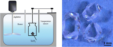 Graphical abstract: Low-temperature aqueous solution growth of the acousto-optic TeO2 single crystals