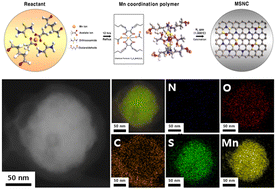 Graphical abstract: A MnS/MnO-coated S,N-doped carbon anode obtained from a Mn(ii)-coordinated polymer for long-cycle life Li-ion batteries