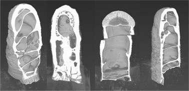 Graphical abstract: Hydrogen storage capacity of freeze cast microporous monolithic composites