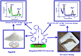 Graphical abstract: Stripping analysis of Pb2+ and Hg2+ in deveined shrimp and eggshells using a H2bpabza/MWCNT–modified graphite electrode