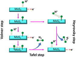 Graphical abstract: Alkali metal-assisted nucleation and growth of stable 1T/2H MoS2 for the hydrogen evolution reaction