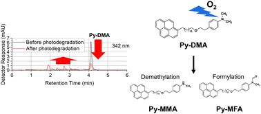 Graphical abstract: Primary photodegradation pathways of an exciplex-forming A–D molecular system