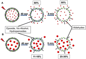 Graphical abstract: The role of lipid oxidation pathway in reactive oxygen species-mediated cargo release from liposomes