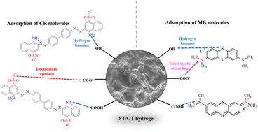 Graphical abstract: Synthesis of gum tragacanth-starch hydrogels for water purification