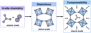 Graphical abstract: Tuning the mechanical properties of molecular perovskites by controlling framework distortions via A-site substitution