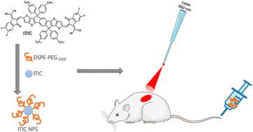 Graphical abstract: Synthesis of a new photosensitizer for laser-mediated photodynamic therapy to kill cancer cells in gliomas