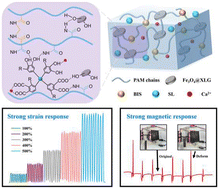 Graphical abstract: Fast preparation of adhesive, anti-freezing hydrogels with strain- and magnetic-responsive conductivities