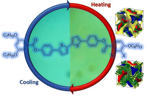 Graphical abstract: Halogen substituted bithiophene-based polycatenars with tunable fluorescence