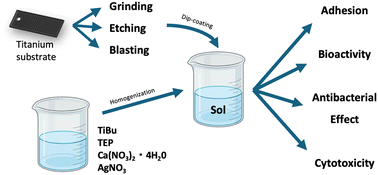 Graphical abstract: Development of titania coatings containing calcium, phosphorus, and silver, applied via the sol–gel method and dip-coating technique