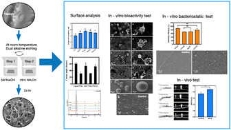 Graphical abstract: Dual alkali etching for osseointegration and reduced bacterial adhesion: a feasible alternative to SLA