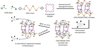 Graphical abstract: Effect of the temperature of biomixing on the pH/temperature sensitive controlled drug release of a chitooligosaccharide-based hydrogel