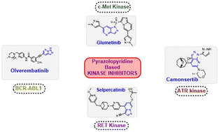 Graphical abstract: Pyrazolopyridine-based kinase inhibitors for anti-cancer targeted therapy