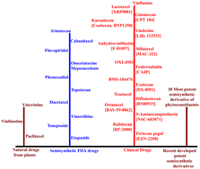 Graphical abstract: Semisynthetic phytochemicals in cancer treatment: a medicinal chemistry perspective