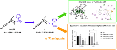 Graphical abstract: Novel sigma 1-antagonists with cis-(+)-normetazocine scaffold: synthesis, molecular modeling, and antinociceptive effect