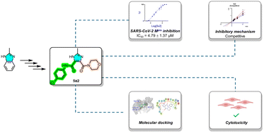Graphical abstract: Asymmetric imidazole-4,5-dicarboxamide derivatives as SARS-CoV-2 main protease inhibitors: design, synthesis and biological evaluation