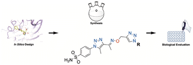 Graphical abstract: Novel benzenesulfonamides containing a dual triazole moiety with selective carbonic anhydrase inhibition and anticancer activity