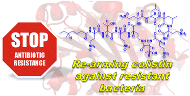Graphical abstract: Adjuvant strategies to tackle mcr-mediated polymyxin resistance