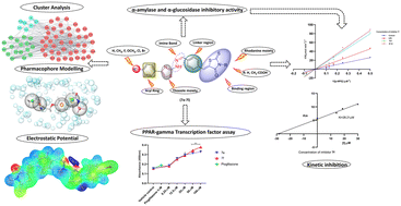 Graphical abstract: Novel rhodanine–thiazole hybrids as potential antidiabetic agents: a structure-based drug design approach